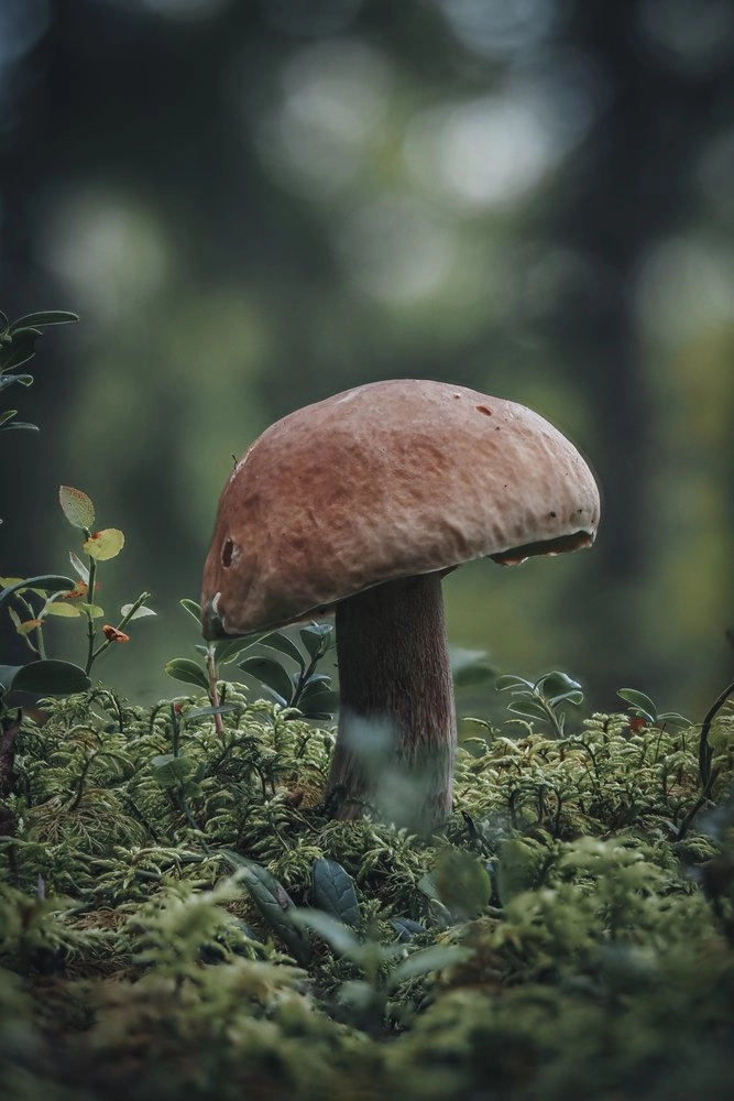 test config product with 2 options